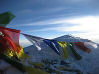 Flareflags on Summit 2